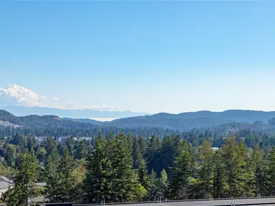 View 33