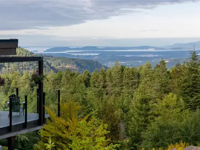 View 66