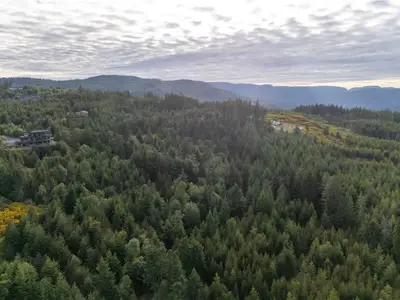 View 65