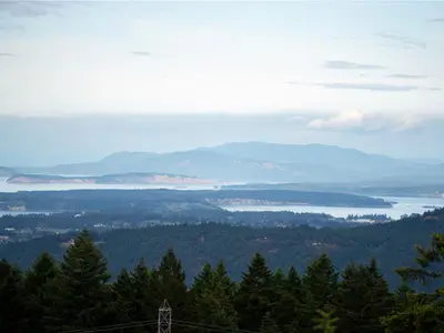 View 59