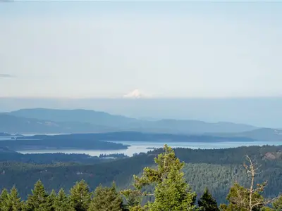 View 21