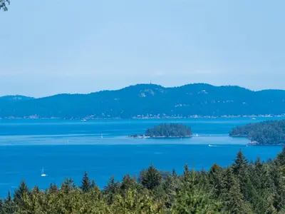 View 49
