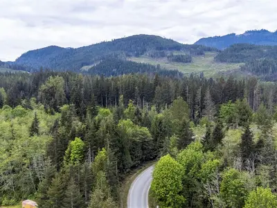 View 45
