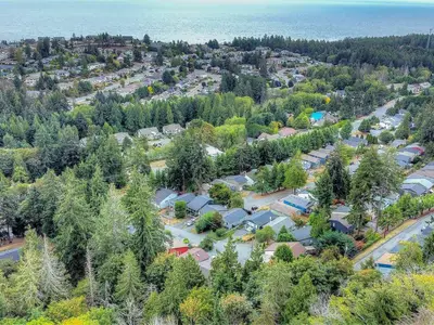 View 41