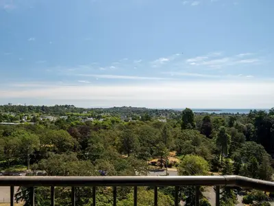 View 2