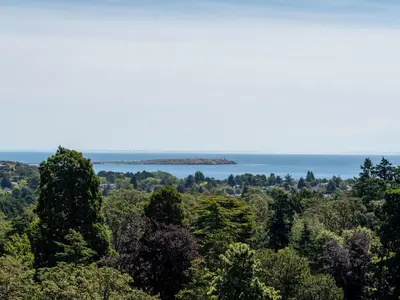 View 3
