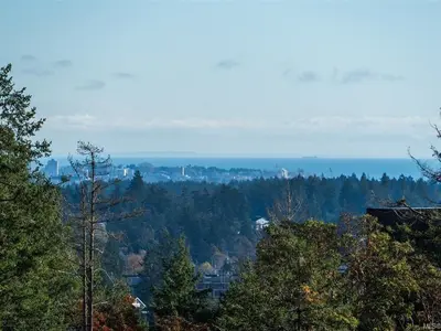 View 31