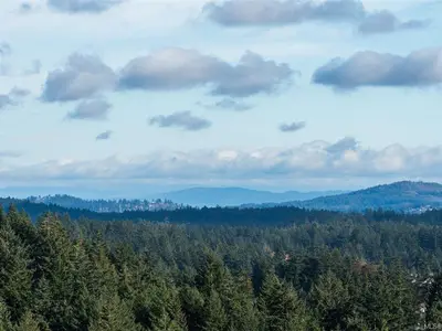 View 21
