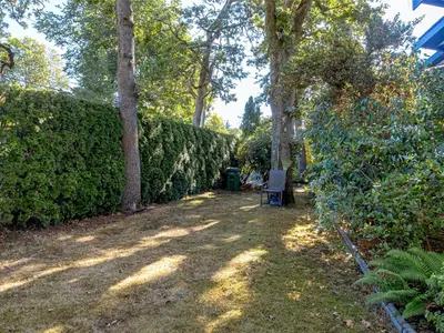 View 31