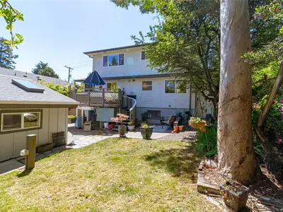 View 32