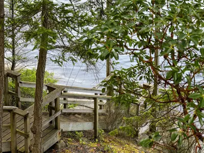 View 53
