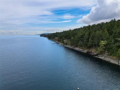 View 38