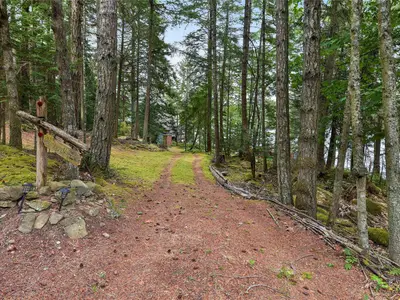 View 50
