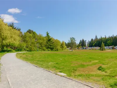 View 38