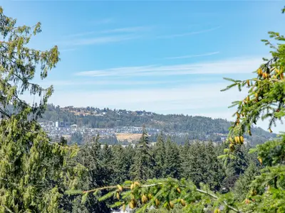 View 31