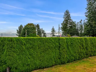 View 73
