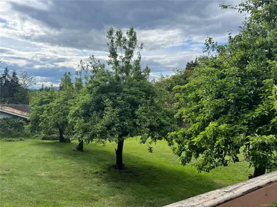 View 7