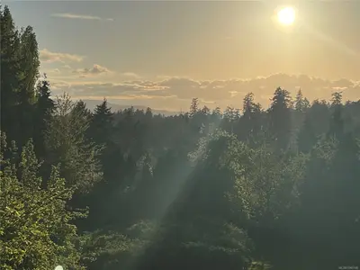 View 49