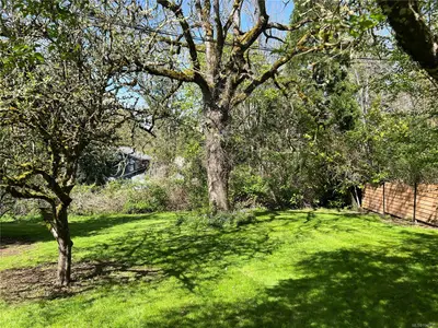 View 37