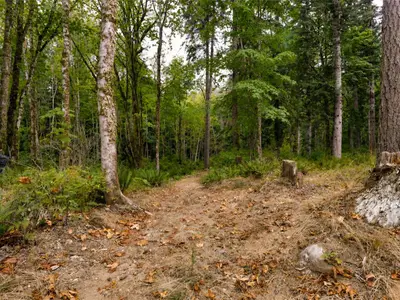 View 52