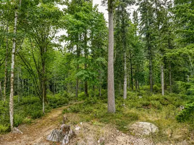 View 51