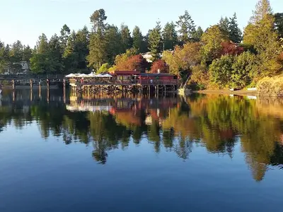 View 36