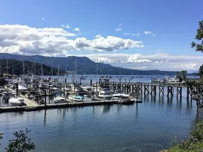 View 37