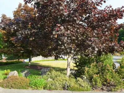 View 57