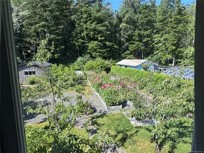 View 51