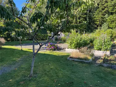 View 50