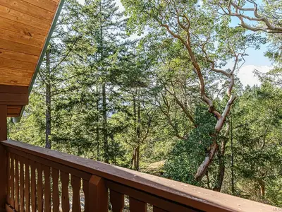 View 21