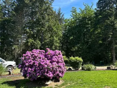 View 42