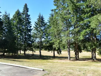 View 50