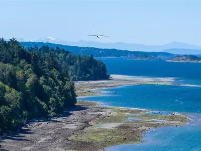 View 31