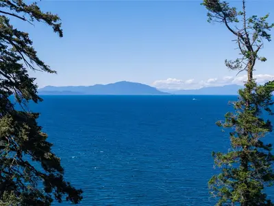 View 29