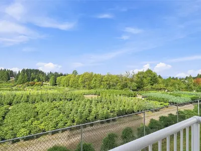 View 26
