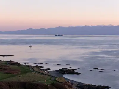 View 61