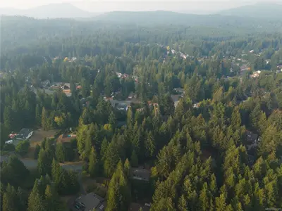 View 41