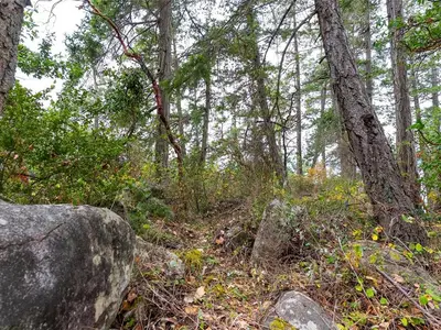 View 12