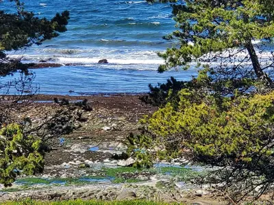 View 32