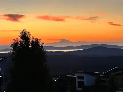 View 81