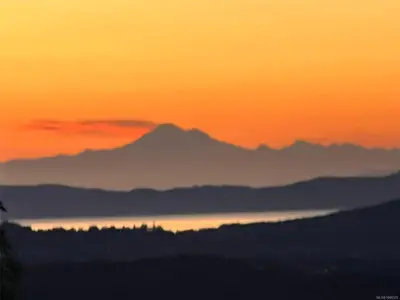 View 79