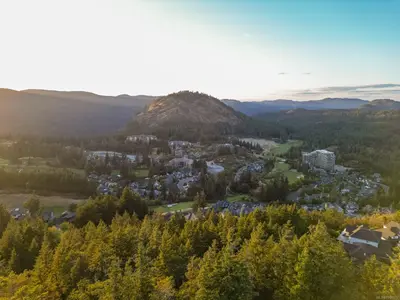 View 65