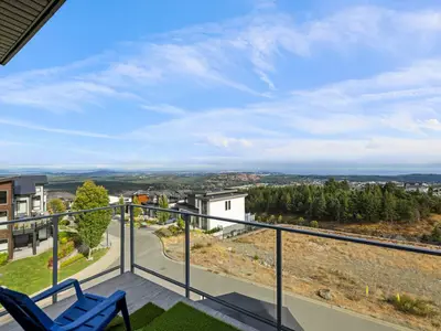 View 49