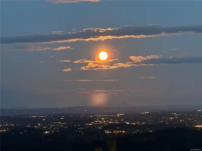 View 83