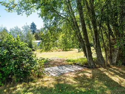 View 75