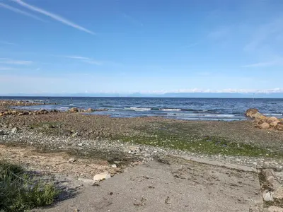 View 55