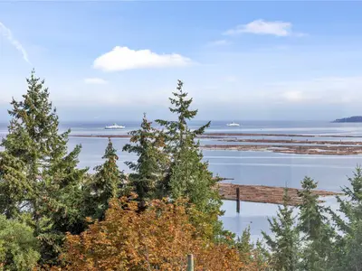 View 30