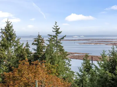 View 11