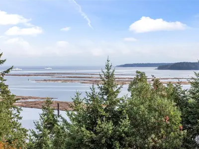View 31